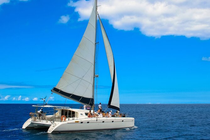 Catamaran Fullday Guided Tour to Ile Aux Cerfs From Pointe Jerome - Customer Reviews