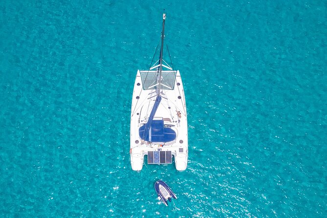 Catamaran Sailing Tour and Whale Watching in Boa Vista - The Sum Up