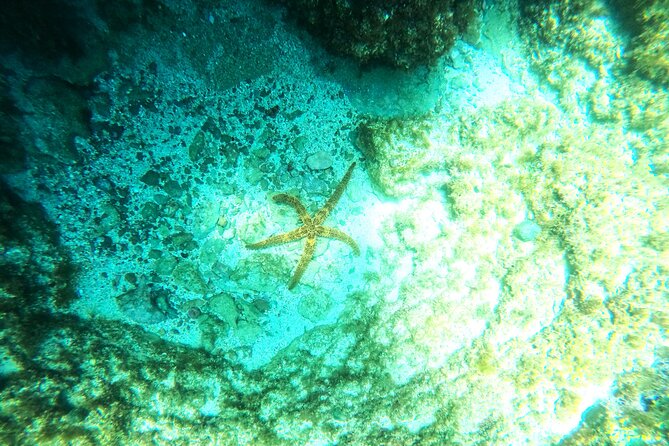 Chania Guided Snorkeling and Boat Excursion - Pricing Details