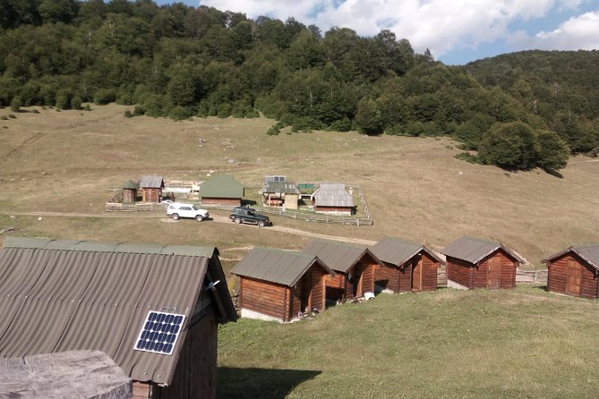 Cheese Farm Tour in the Katun - Booking and Cancellation Policy