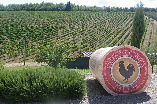 Chianti VINARIUM Tour From Rome - Pickup and Start Time Details