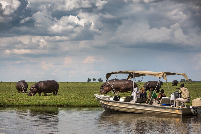 Chobe Day Trip Ex Livingstone / Victoria Falls - What To Expect