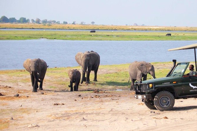 Chobe Day Trip To Botswana From Livingstone - Frequently Asked Questions