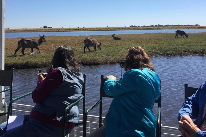 Chobe Half Day Trip - Important Information