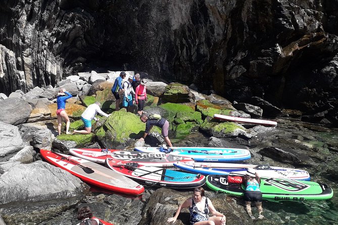 Cinque Terre Paddleboarding Cruise at Sunrise or Sunset - Activity Overview