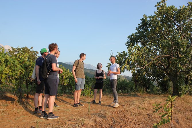 Classing Wine Tasting Tour by Berat City Tours - The Sum Up
