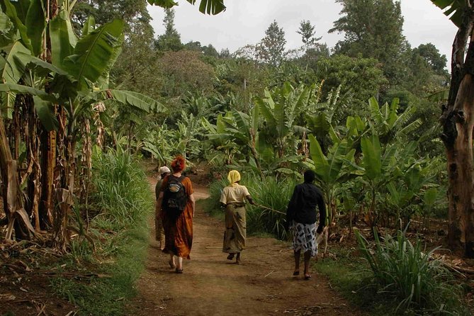 Coffee Walk With Stay in the Village - Additional Info