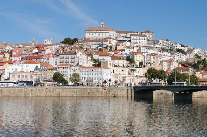 Coimbra and Bussaco Private Full Day Sightseeing Tour From Lisbon - Safety and Accessibility
