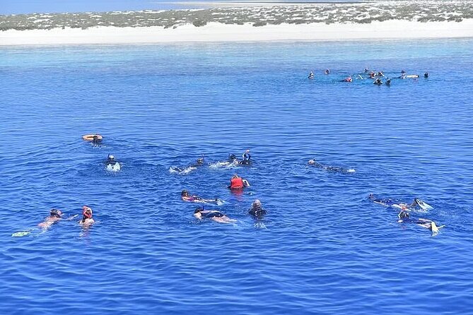 Coral Garden Reefs Snorkeling Boat Trip From Marsa Alam - Coral Garden Reefs Location