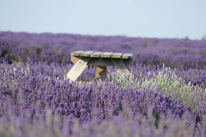 Cotswolds and Lavender Fields Tour With Country Pub Lunch - Tour Inclusions