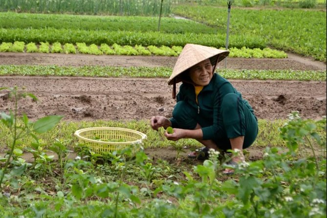 Countryside and Villages Tour By Motorbike - Reviews and Ratings