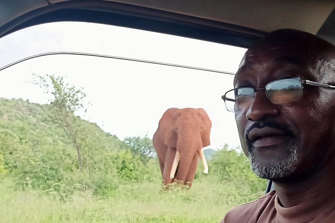 Cream Of Kenya Safari - Policies and Additional Info