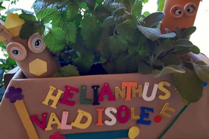 Creative Workshop - Vegetable Garden in Boxes - Booking Details