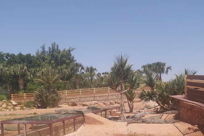 Crocodil Park Transport and Crocoparc Ticket - Price and Booking Details