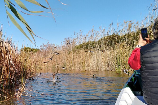Cycle Albufera Lake, Rice Fields Paella and Boat Ride With Beach - Additional Information