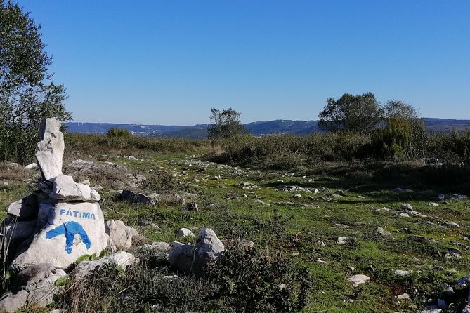 Cycling From Nazaré to Fátima on Paths of Faith, Full-Day - Physical Requirements