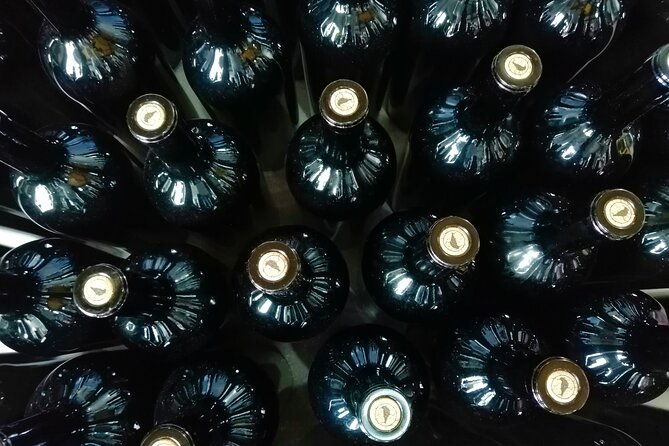 Cycling Vineyards of Bairrada Route, Full Day From Coimbra - Important Considerations