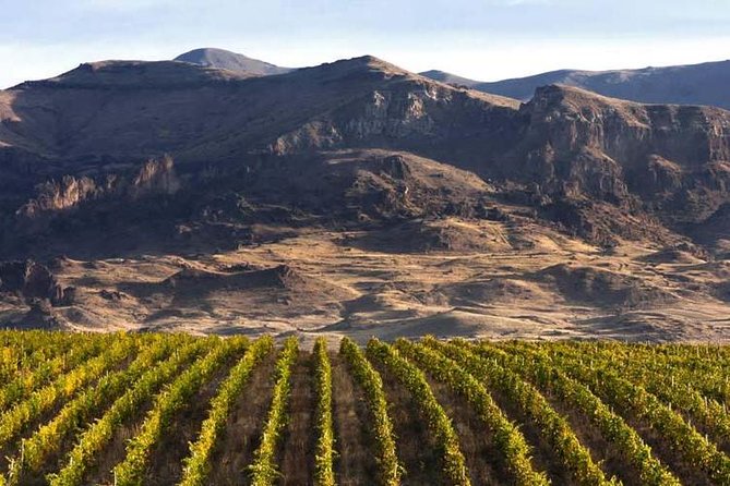 Daily Wine Tour to Vayots Dzor Region