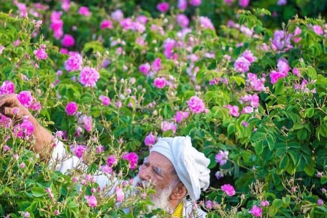 Damascus Roses - Discover the Secrets of Al Jabal Al Akhdhar - Tour Pricing and Guarantee