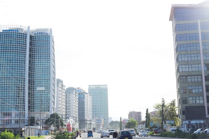 Dar Es Salaam City Sightseeing Private Tour - Highlights