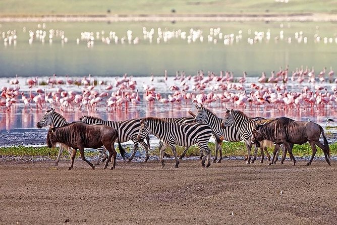Dar Es Salaam City Tour - Price and Inclusions