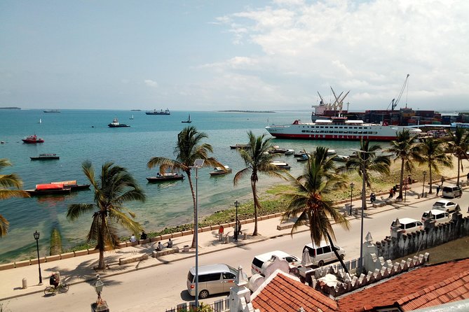 Dar Es Salaam City Tour and Beach Leisure - 9 Hours - Private Transportation Details