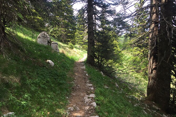 Day Hike in Velebit National Park Wilderness - Premuzic Trail - Important Considerations
