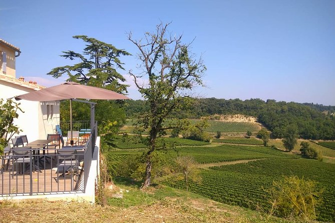 Day in Saint-Emilion - Medieval Village and Wine Tasting - Booking Details and Price