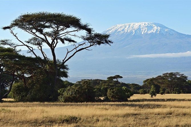 Day Tour - Amboseli National Park From Nairobi - Frequently Asked Questions