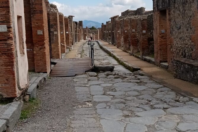 Day Tour Archaeological Site Of Pompei And Herculaneum - Meeting and Pickup Details