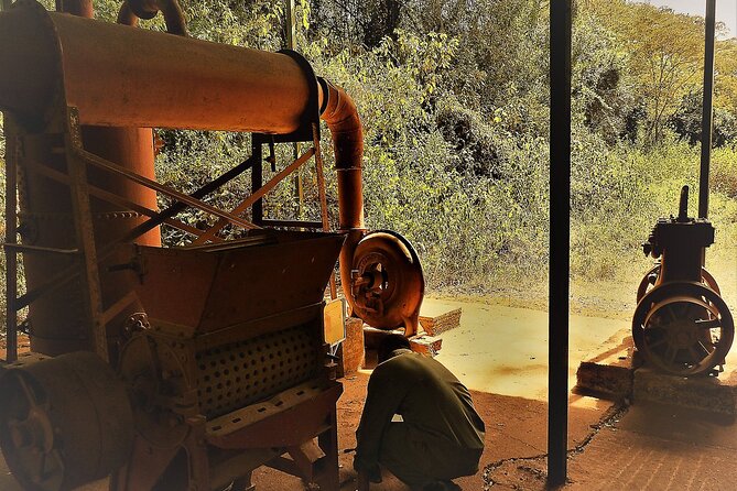 Day Tour Giraffe Center, Karen Blixen and Lunch at Carnivore - The Sum Up