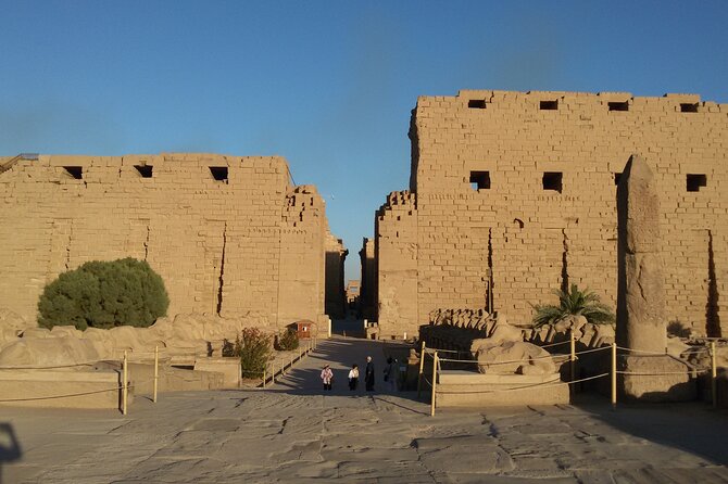 Day Tour To Luxor From Aswan, Valley of the Kings and Karnak Temple - About the Tour Operator
