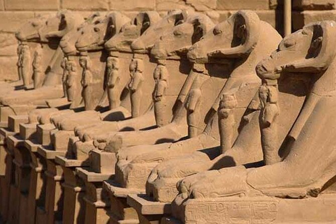 Day Tour to Luxor From Marsa Alam Private by Car - Price and Booking Details