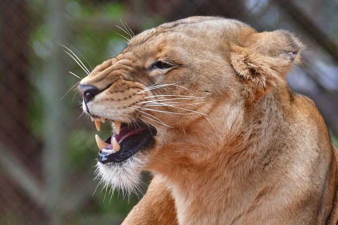 Day Trip - Lake Nakuru National Park Tour From Nairobi - Frequently Asked Questions
