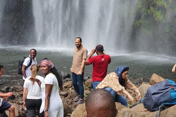 Day Trip-Materuni Waterfalls, Coffee Tour, Kikuletwa Hot Springs - Tour Operator