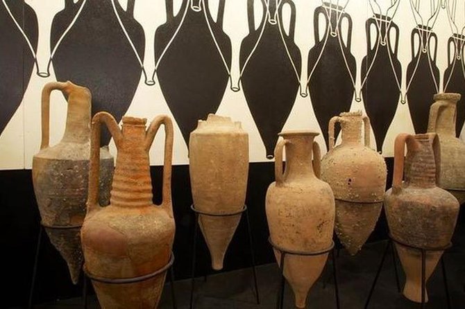 Day Trip: Olive Oil And Wine Museum With Lunch + Horse Riding - Operator Information