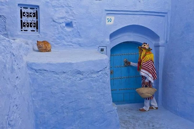 Day Trip To Chefchaouen City From Fez ( Private ) - Culinary Experience