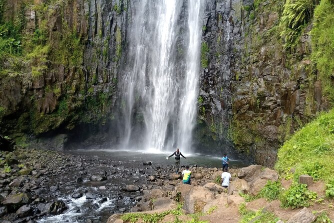 Day Trip to Mount Pare - Reviews and Ratings