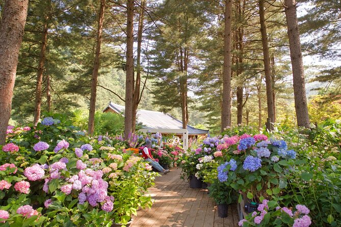 Day Trip to Nami Island With Rail Bike and the Garden of Morning Calm - Price and Reservation Details