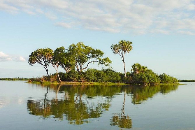 Day Trip to Selous National Park From Zanzibar or Dar Es Salaam - Additional Information