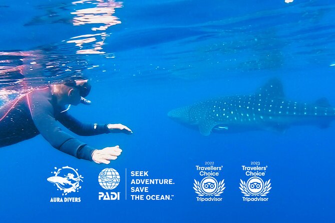 Daymaniyat Island: 2-Dive Scuba Adventure! - Reviews and Ratings Overview