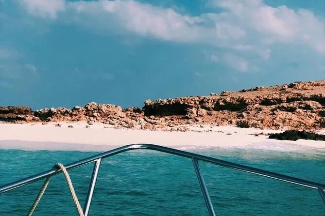 Daymaniyat Islands Snorkeling Half-Day Tour - The Sum Up