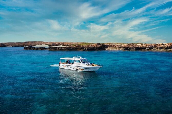 Daymaniyat Islands Snorkeling Sharing Trip - Reviews and Testimonials