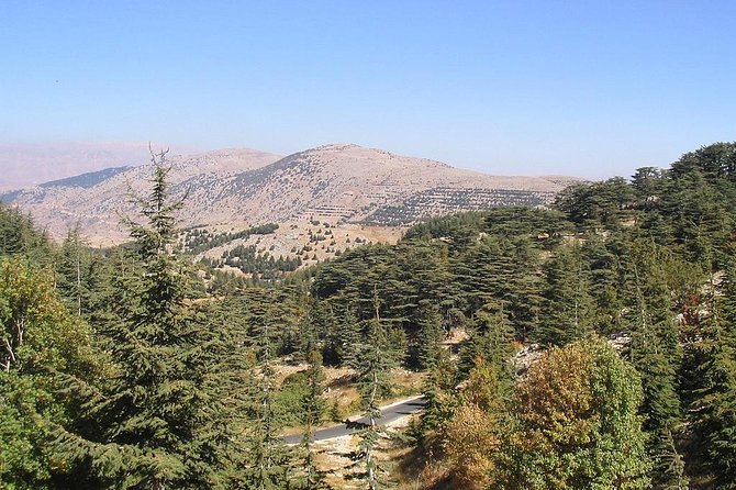 DeirElkamar, Beitdeen, Moussa Palace, EinwZien Grotto,Full-Day Trip PRIVATE-CAR - Tour Highlights