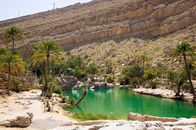 Desert Safari Sharing Tours - The Sum Up