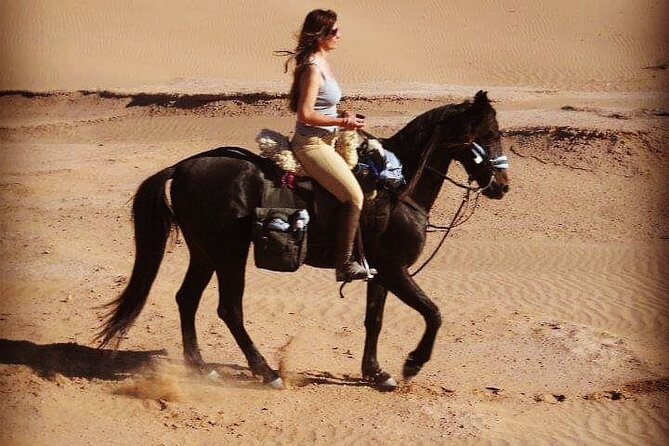 Desert Trail in Morocco on Horseback - Booking Information