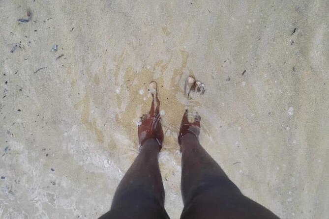 Discover Inhaca Island - One Day Tour - Customer Reviews