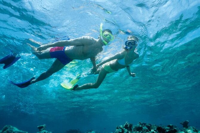Discover Mauritius: Dolphin Watch, Snorkeling, BBQ Lunch - Additional Information