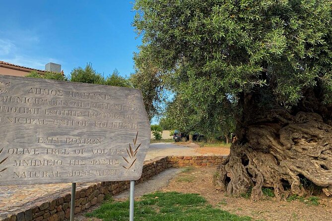 Discovering Ancient Olive Tree and Historic Olive Mill and Winery - Location Details