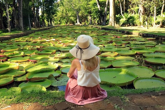 Discovering the North of Mauritius: Full-Day Incl Botanical Garden & Lunch - The Sum Up